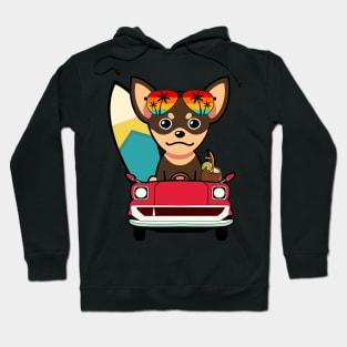 Cute small dog driving to the beach Hoodie